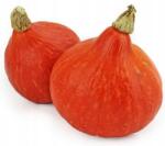 Hokkaido Tök Friss Lengyel 1 Db