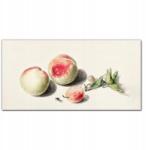 Coloray Vászon falikép Gyümölcsök őszibarack 100x50 cm (010030010010000018089)