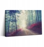 Wallfluent Vászonkép Vendégszobabe Gyönyörű Nyomtatás Út Ködös Erdő (010030010150000075019)