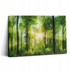 Wallfluent Vászonkép Gyors összeszerelés Irodába Természet Erdő Fák 30x20 cm (010030010150000007593)