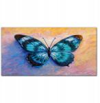 Coloray Fotó-vászonkép Pillangó rovar színes 100x50 (010030010010000017227)