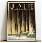  Vadvilág poszter Usa Nemzeti park A3 (Plakat Podróżniczy Podróże Vintage)