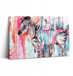 Wallfluent Vászonkép Canvas Edzőterem Művészi Illusztráció Színes Állat Zebra 30x20 (010030010150000006095)