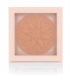 Pastel Mutasd meg a tisztaságodat archoz No. 102 9.3g (064410102)