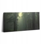 Wallfluent Canvas Falikép Nappaliba Gyönyörű Ködös Erdő Reggel 100x50 cm (010030010010000074718)