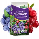 Biovita Áfonya- És Tőzegáfonyaföld Ph 4-5 Biovita 50L (5907813162404)