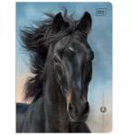 Interdruk Iskolai Füzet A5 Háromsoros Színes 16 Lap Ló Lovak (5902277366450)