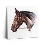 Wallfluent Fotó Vászonkép Canvas Fa Keret Szoba Festett Ló Profil 60x60 cm (010030010270000074691)
