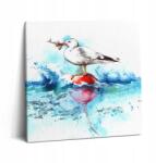 Wallfluent Fotó Vászonkép Vendégszobabe Látványos Festett Sirály 60x60 cm (010030010270000074862)