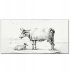 Coloray Fotó-vászonkép Állat tehén borjú 100x50 (010030010010000018057)