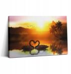 Wallfluent Vászonkép Canvas Tartós Fali Nappaliba Gyönyörű Hattyú Tó 30x20 (010030010150000075171)