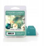 Country Candle Tinsel Thyme illatviasz Country Candle (846853063911)