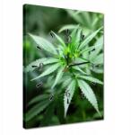 ZeSmakiem Órák 30x40 Kender Bokor (H9965Z_Z1D_30x40cm AZ)