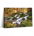 Wallfluent Prémium fotótapéta Konyha Patak az Őszi Erdőben 30x20 cm (010030010150000074964)