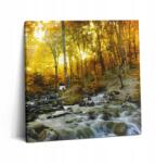 Wallfluent Canvas Vászonkép Konyha Fa Kerettel Őszi Erdő 60x60 cm (010030010270000074955)