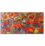 Coloray Vászonkép keretben Pipacsok virágok 100x50 cm (010030010010000016672)