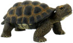 BULLYLAND Figurina Broasca Testoasa Bullyland (BL4007176635537) Figurina