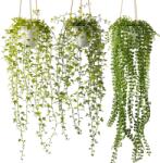 YVONNEYI Set 3 Plante Artificiale Suspendate cu Ghivece, Plante Decorative pentru Interior (b0d8t9vbk6)