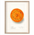  Vintage konyhai poszter Ízesített Ragasztók A3 (O11 Plakat do Kuchni Vintage A3)