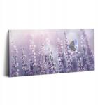 Wallfluent Vászonkép Canvas Nappali Stílusos Pillangó Ajándék Mezei Virágok (010030010010000074635)