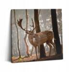 Wallfluent Fotó-Vászonkép Ajándék Szarvas a felkelő nap fényében 60x60 cm (010030010270000074749)