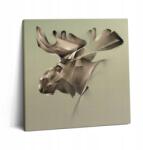 Wallfluent Vászonkép Canvas Nappaliba Ökológiai Grafikus jávorszarvas tükröződés (010030010270000045438)