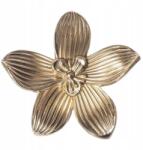  Bútorfogantyú Flower Sárgaréz Gaia Decors