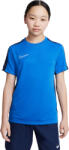 Nike Dri-fit Academy (dr1343-463)