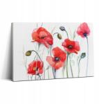 Wallfluent Fotótapéta Ökológiai Edzőterem Festészet Piros Pipacsok (010030010150000074800)