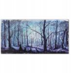 Coloray Vászon falikép Erdő tél hó 100x50 cm (010030010010000017547)