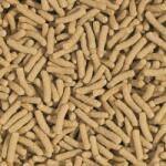 Tropical koi és aranyhal alap rudak haleledel 90 g (40374)