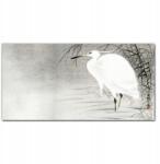 Coloray Vászon falikép Állat madár víz 100x50 cm (010030010010000017886)