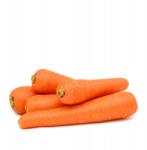  Sárgarépa Fiatal Friss 1KG Egészséges A Gazdától