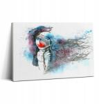 Wallfluent Vászonkép Étkezőbe Szerelésre kész Absztrakt Asztronauta (010030010150000074787)