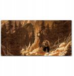 Coloray Vászonkép Erdő medve hegyek természet 100x50 (010030010010000019011)