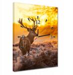 ZeSmakiem Órák 30x40 Szarvas napfelkeltekor (H787M_Z1D_30x40cm AZ)