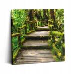 Wallfluent Vászonkép Canvas Fali Dekoráció Stúdió Fa Járda Falusi turizmus (010030010270000023409)