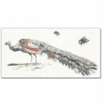 Coloray Vászonkép Állat madár páva légy 100x50 cm (010030010010000018253)