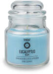 Myga Természetes szójagyertya myga Eukaliptusz (RY1297)