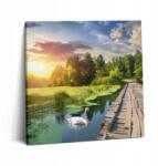 Wallfluent Fotó-Vászonkép Canvas Falra Szoba Hattyú Naplementekor (010030010270000075055)