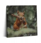 Wallfluent Fotó Vászonkép Canvas Fa Kerettel Étkezőbe Mókus Vad Természet 60x60 (010030010270000075393)