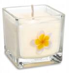 Phoenix import Ökológiai repceviasz illatgyertya Nag Champa (8720088292822)