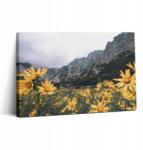 Wallfluent Fotó-Vászonkép Canvas Iroda Klasszikus Rét Virágok A Tátra Hegyeiben (010030010150000075530)