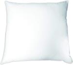 Dodo Pamut párna 60 x 60 cm (B00CE2WS2K)