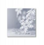 Tulup Vászonkép canvas 40x40 Hópehely Karácsonyi dekoráció (ock-40x40-96172960)