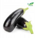  Padlizsán friss bio kb. 3 kg (5907814667243)