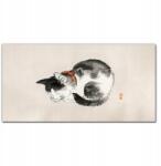 Coloray Vászonkép keretben Állat macska 100x50 cm (010030010010000017985)