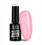 NTN Premium Hibrid lakk Ntn Delicate French 5g No. 300 (290003)