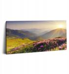 Wallfluent Vászonkép Canvas Irodai Nyomtatott Hegyek és Rét Virágok 100x50 cm (010030010010000001014)
