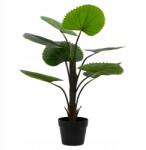 Kaemingk Mesterséges pálma legyező kaspóban otthonra szoba 75cm (sztuczny kwiat duży)